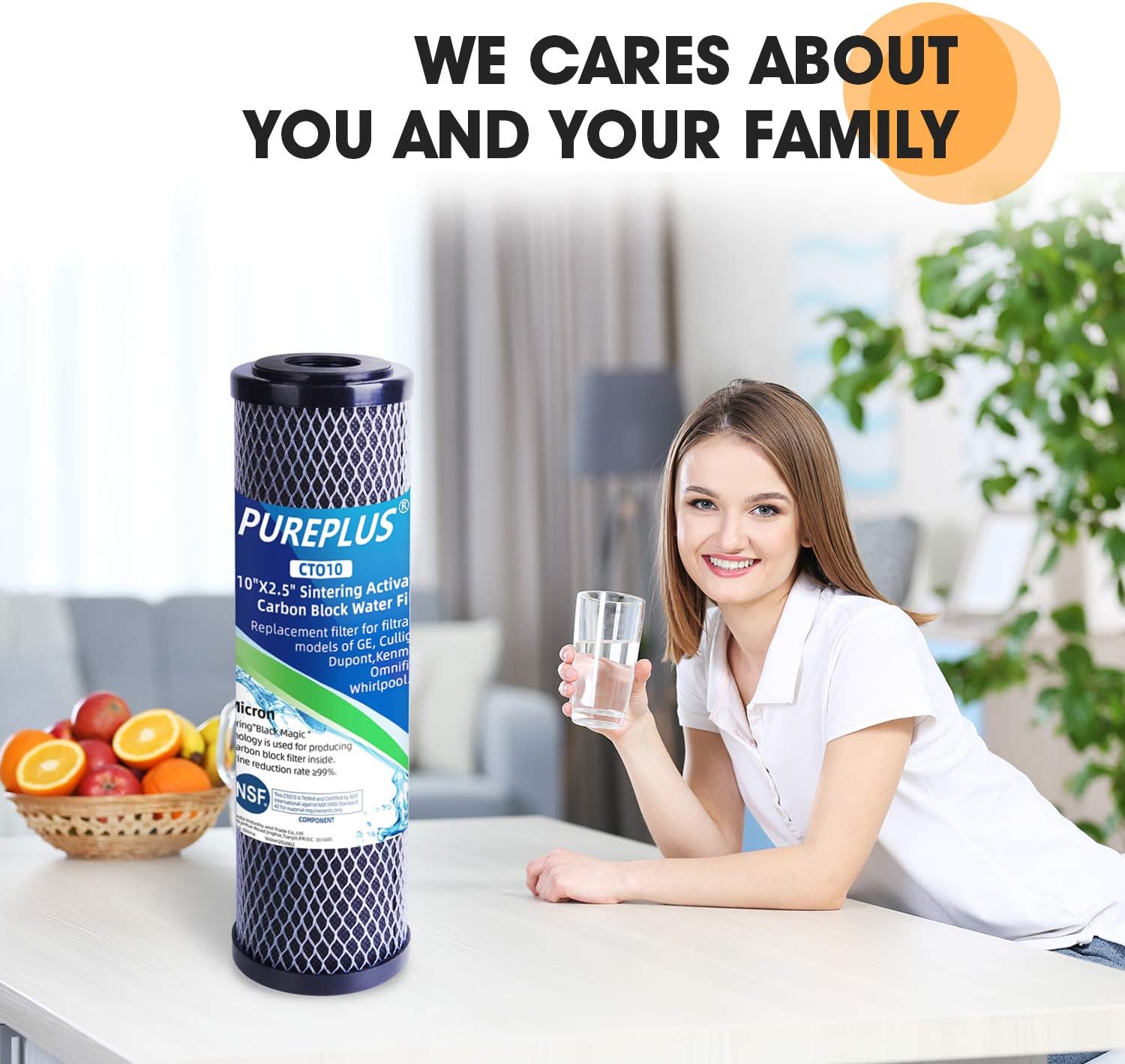 1 Micron 2.5" x 10" Whole House CTO Carbon Water Filter Cartridge Replacement for Countertop Water Filter System, Dupont WFPFC8002, WFPFC9001, FXWTC, SCWH-5, WHEF-WHWC, WHCF-WHWC, AMZN-SCWH-5, 4Pack: Kitchen & Dining
