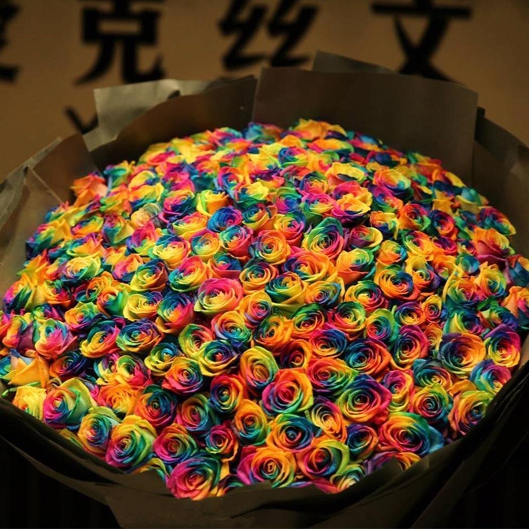 Pesters New Nice Adorable Flower Fragrant Seeds Fragrant Blooms Rose Seeds