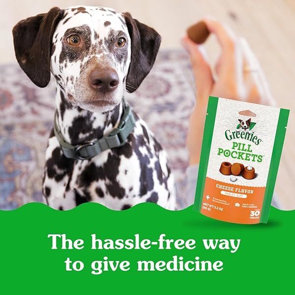 GREENIES PILL POCKETS LARGE SIZE SOFT DOG TREATS FOR CAPSULES, CHEESE FLAVOR, MADE WITH NATURAL INGREDIENTS PLUS MINERALS & TRACE NUTRIENTS, 15.8 OZ. (60 COUNT, PACK OF 1)