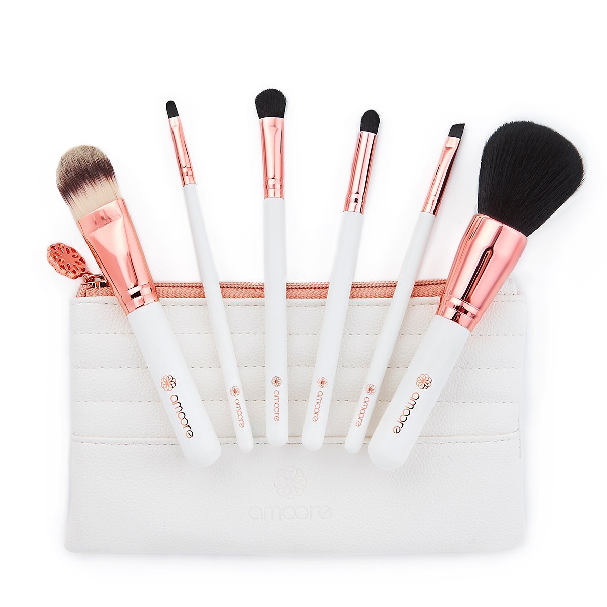 Make up Brush Set, amoore 6Pcs Makeup Brushes with Case Foundation