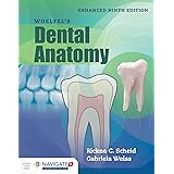 Woelfel's Dental Anatomy, Enhanced Edition