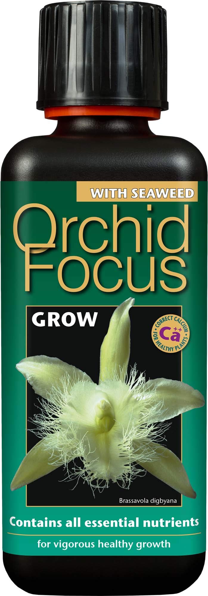 Orchid Focus Grow 300ml