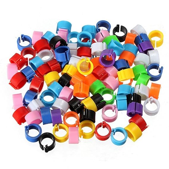 100 Stück Klemmringe für Vögel, 8 mm, Fußring, Beinring, Markierung für Tauben, Küken, Zwerghühner, Wachteln, Unzertrennliche