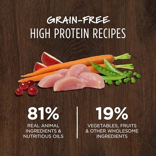 INSTINCT ORIGINAL DRY CAT FOOD, RAW COATED KIBBLE, HIGH PROTEIN, GRAIN FREE RECIPE – REAL CHICKEN, 11 LB. BAG