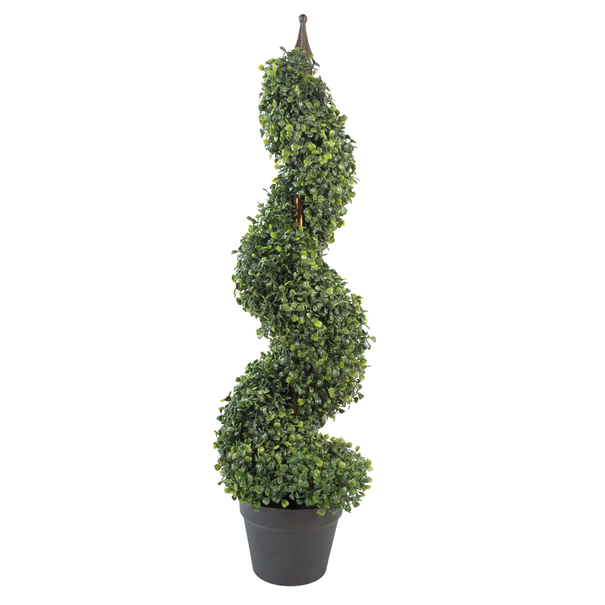 Leaf Design UK Buxus Boxwood Spiral Trees,90cm, BUXUS