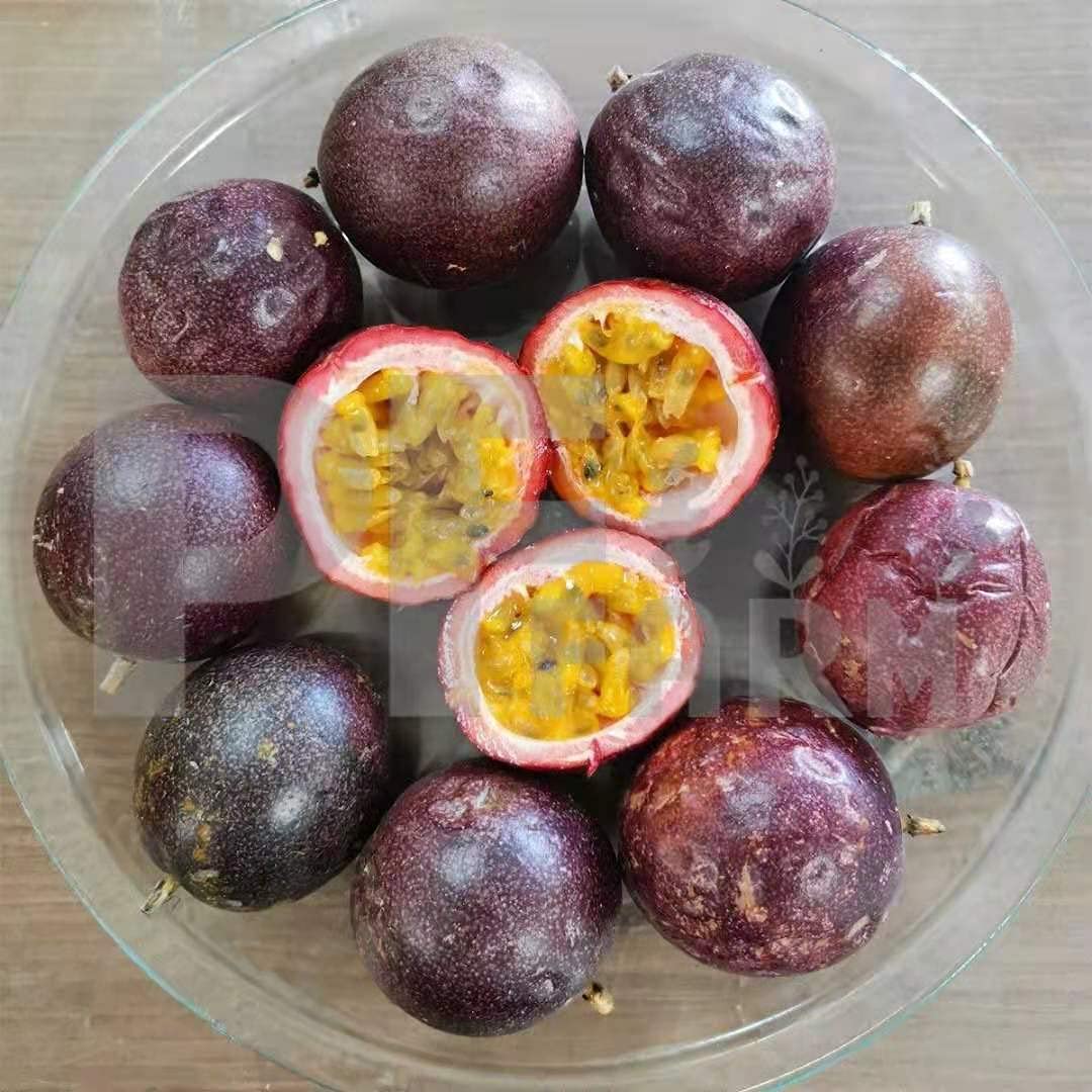 PF FARM Dark Purple Fresh Ripe Passion Fruit Florida No.1 (2 Dozen / 24 Counts)