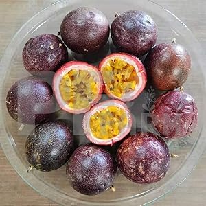 PF FARM Dark Purple Fresh Ripe Passion Fruit Florida No.1 (2 Dozen / 24 Counts)