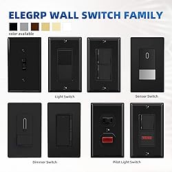 ELEGRP Single Pole Decorator Light
