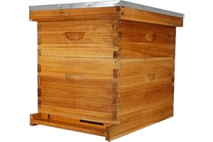 ThxBees 10-Frame Bee Hive Complete Beehive Kit Beeswax Coated Beehive Include Frames and Foundation Sheets for All Beekeeping Levels (1 Deep & 1 Medium Bee Boxes)
