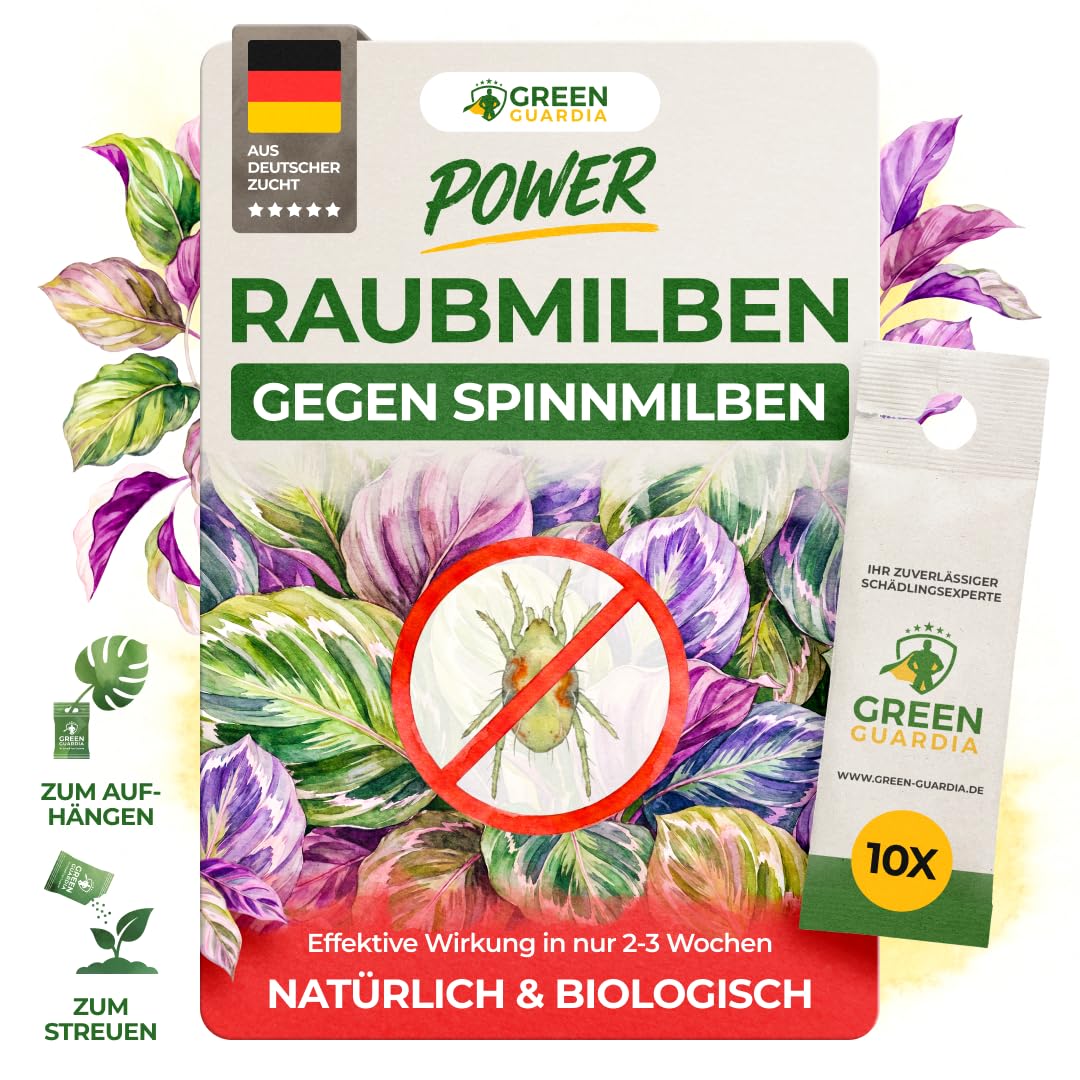 GREEN GUARDIA Power Raubmilben gegen Spinnmilben – 10 Tüten - Biologisches Mittel zur effektiven Spinnmilben Bekämpfung für Zimmer- & Zierpflanzen sowie Canna. – chemiefreie Mittel