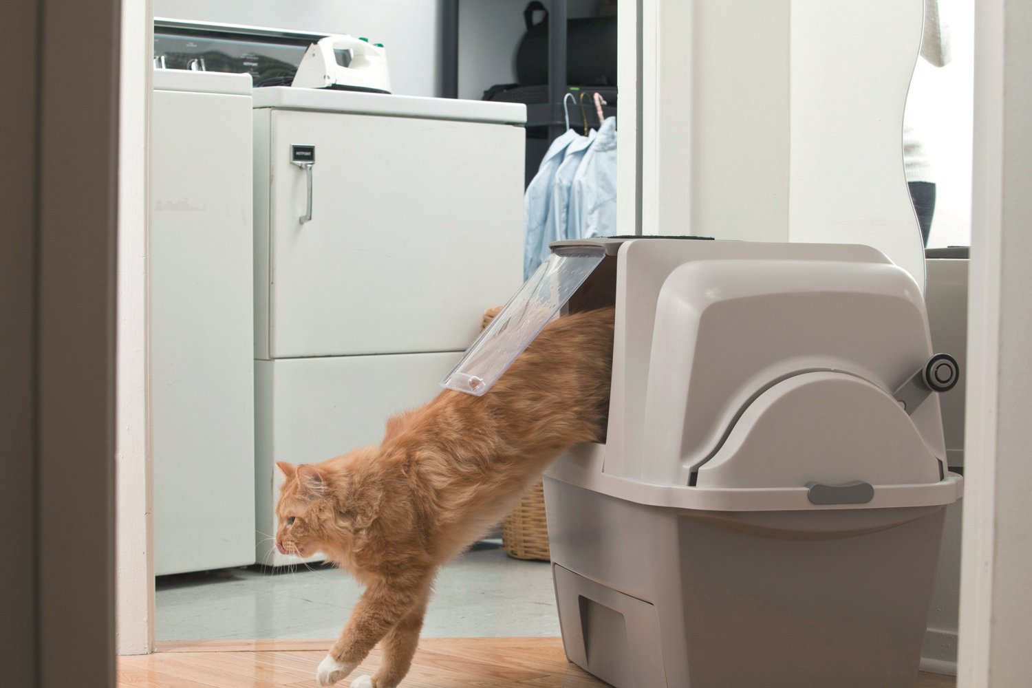 How To Use Sifting Litter Liners at Lauren Rhodes blog