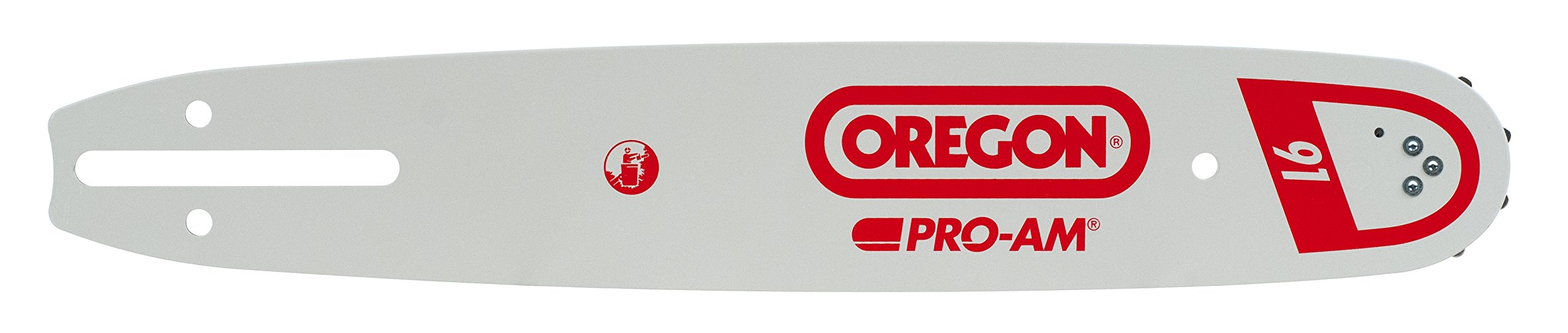Oregon Guide bar Pro Am 40 cm 0.325 Inch 1.6 mm 163SFGD025