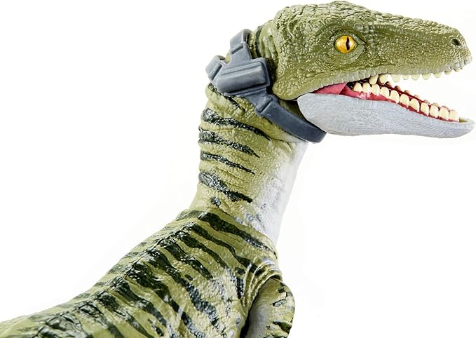 amber collection velociraptor charlie