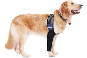 LufeLux Dog Front Leg Sleeve, XLarge, Comfortable, Breathable Material, Adjustable Elastic Band, for Hot Spots, Wounds, Bandages