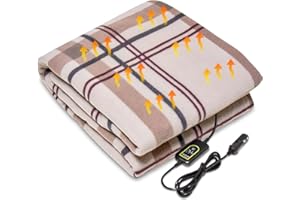 AMAZING FOR LESS Amazingforless 12V Heated Fleece Car Blanket with Controller for Timer & Heat Levels Electric Car Blanket (Nude Plaid)