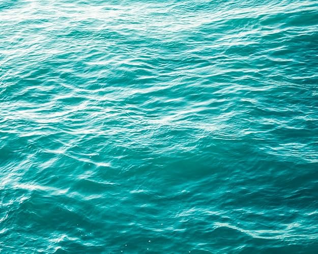 Amazon.com: Large Art, Gift for Her, Water Photography, Bathroom