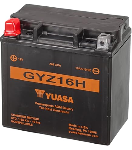 Amazon.com: Yuasa Battery