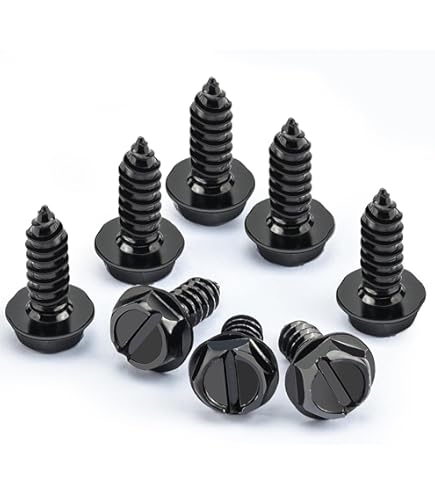 License Plate Screws Stainless Steel At Thoas Castro Blog