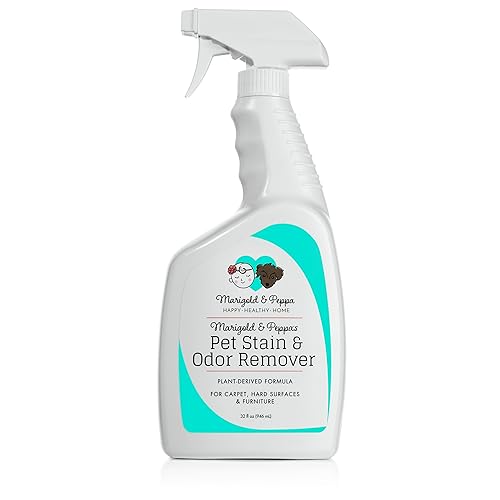 Best Enzyme Based Cleaners 10Reviewz