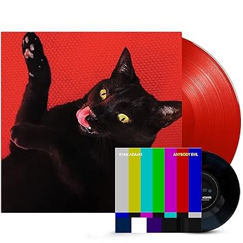 Lorde solar power vinyl target