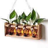 CYZglass Plant Propagation Stations Halloween Skull Plant Terrarium Kit Glass Vases Gift for Father Air Planter Home Office Decor