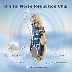 Flaygo Hearing Amplifiers, Otc Hearing Aids For