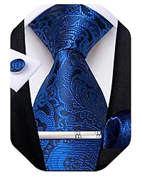 DiBanGu Silk Paisley Ties for Men Woven Necktie and
