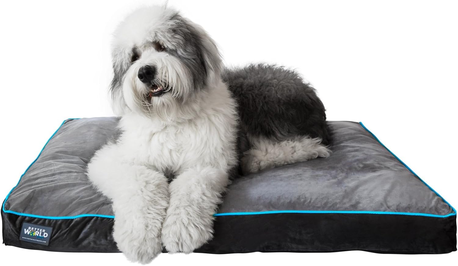 Orthopedic Dog Bed | Pure Premium Shredded Memory Foam Ideal for Aging Dogs | Waterproof Removable Washable Cover (XL (46"x36"x5")(80-120 lbs), Grey with Ocean Blue Trim) : Pet Supplies