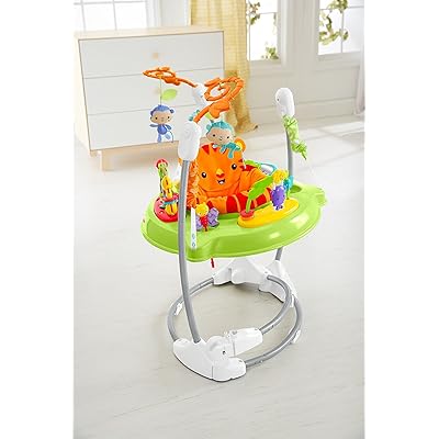 Buy フィッシャープライス レインフォレスト ジャンパルーii 日本正規品 1 レインフォレスト 3か月 Dtd91 Online In Italy B01lvxhvic