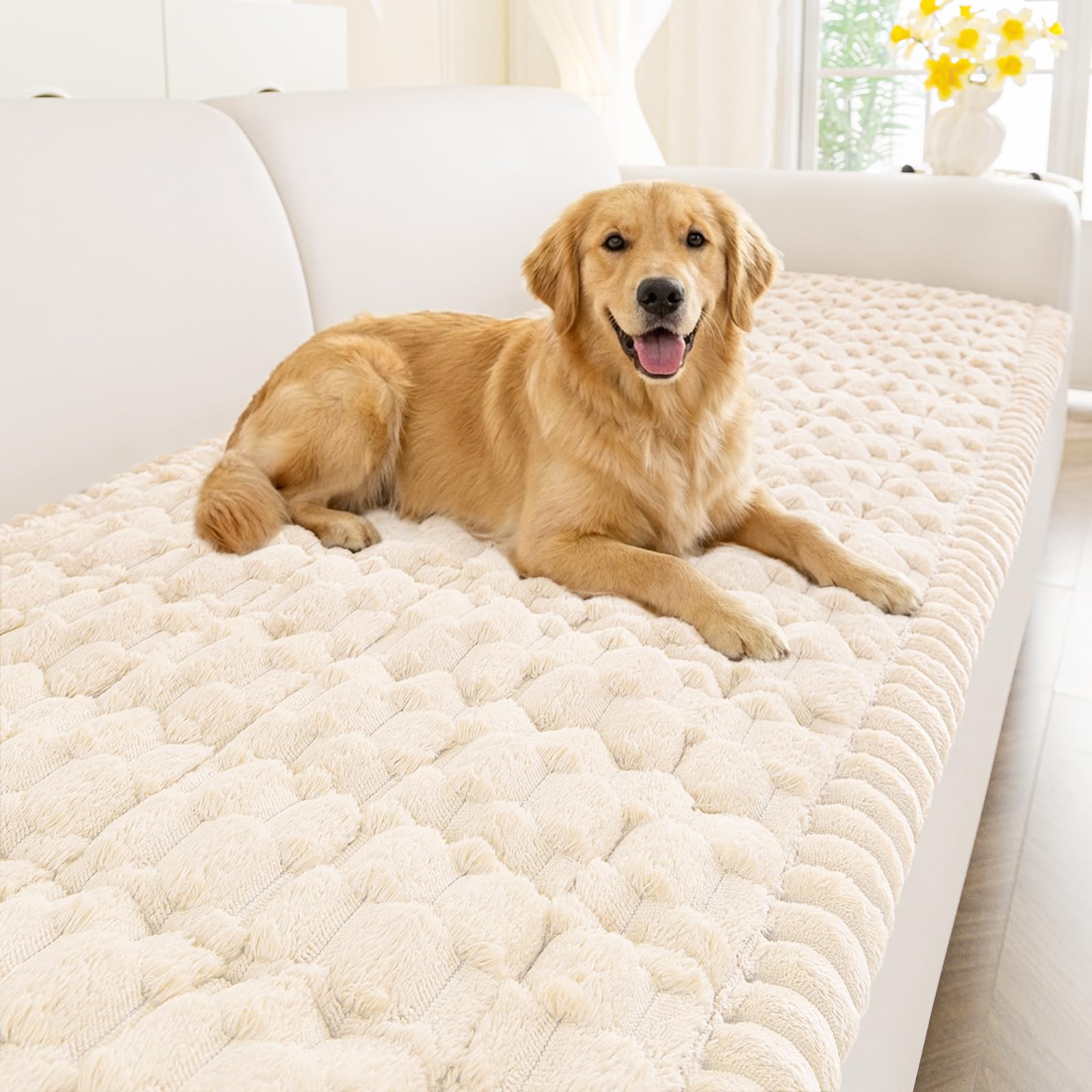 Photo 1 of Smiry Couch Covers for Dogs Washable, Non Slip Fuzzy Pet Couch Covers for Sofa, Soft Thick Sofa Slipcovers Furniture Protector Pet Friendly (Cream, 27.6" x 88")