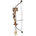 Arrow Precision Buck 20-Pounds Compound Archery Set