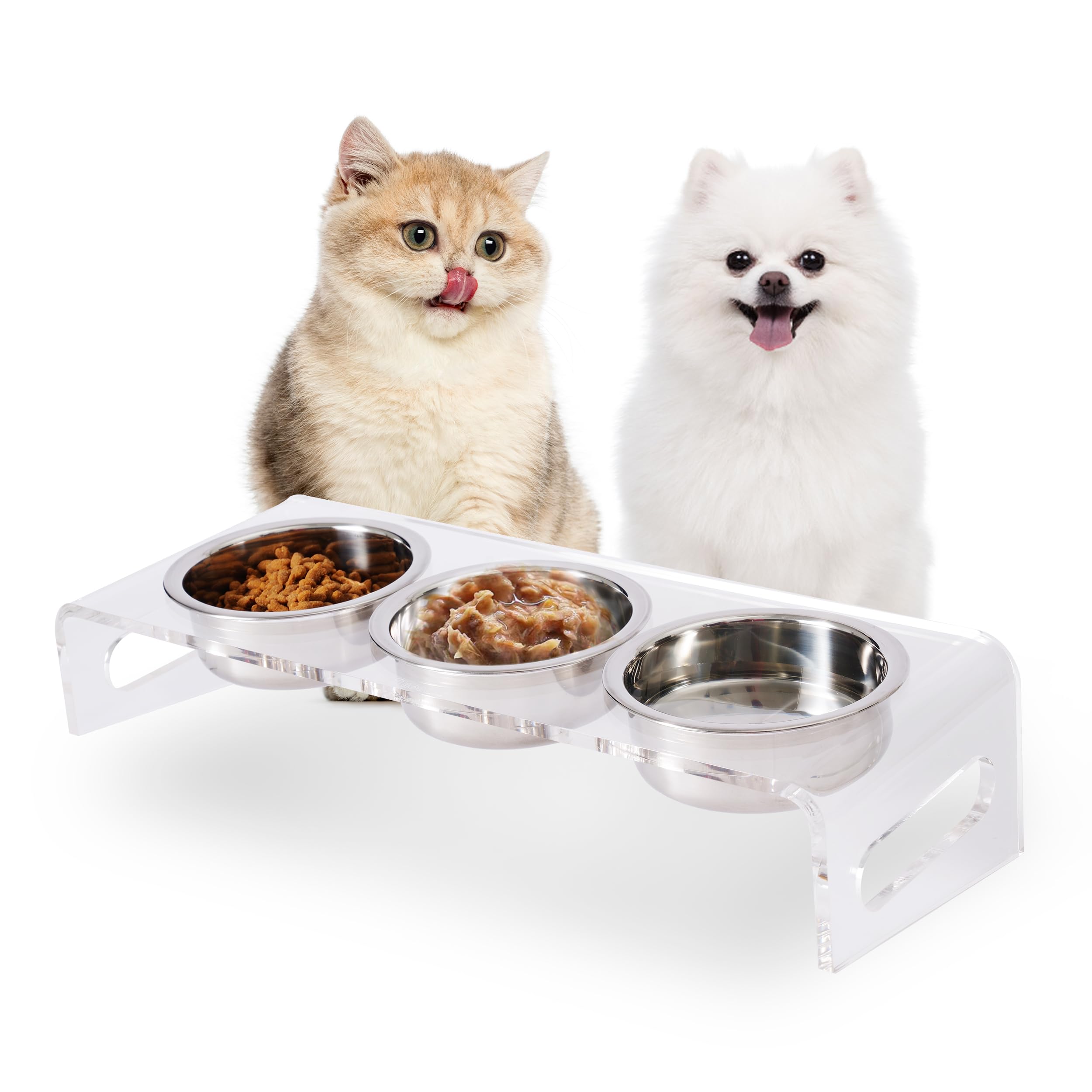 Photo 1 of Tilted Raised Elevated Food and Water Bowls Stand for Cat or Small Dogs - Puppy's Clear Acrylic Stainless Steel 3 Dishes Holder for Boy or Girl Pet by WBhonghui (Clear-3bowls)
