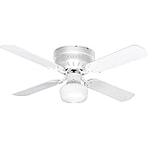 Litex CC42WW4L Celeste Collection 42-Inch Ceiling Fan with Five Reversible White/Whitewash Blades and Single Light kit with W