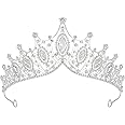 SWEETV Vintage Tiaras and Crowns for Women Queen Crown Costume Headpiece for Halloween Quinceanera Pageant Prom