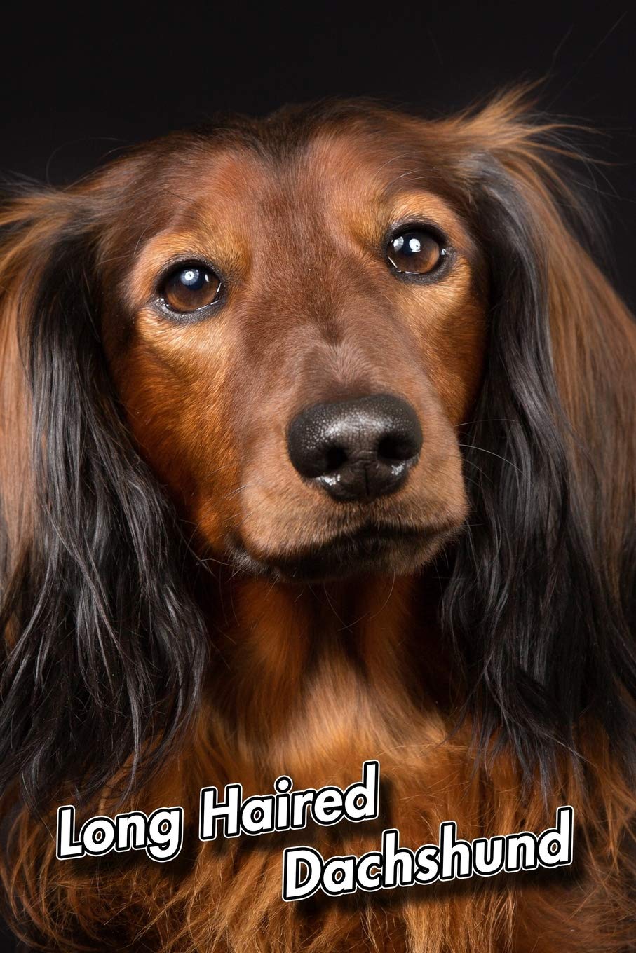 Long Haired Dachshund Composition Book 150 Pages 6 X 9 In