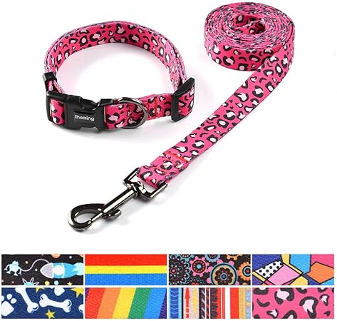 collar and leash pet store