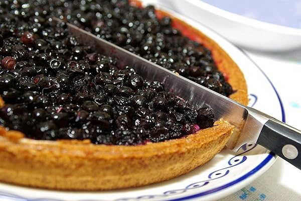 FOOD TO LIVE ORGANIC DRIED BLUEBERRIES, 8 OUNCES NON-GMO, WHOLE BERRIES, LIGHTLY SWEETENED, COATED WITH SUNFLOWER OIL, KOSHER, VEGAN, UNSULFURED, BULK. RICH IN ANTIOXIDANTS. FOR SNACKING, BAKING.