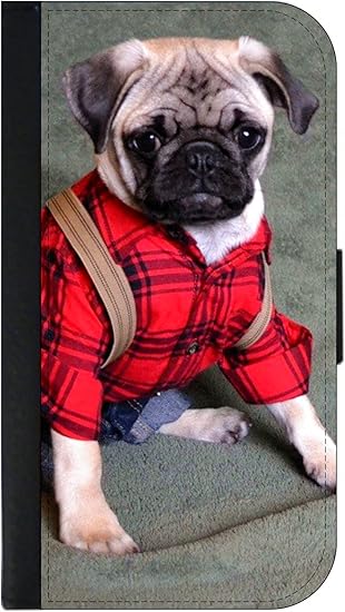 pug clothes amazon