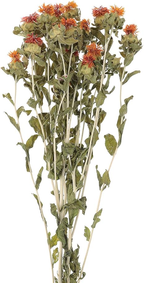 Amazon 東京堂 ドライフラワー オレンジ 約l55cm 紅花 Fd 50ｇ入 ドライフラワー オンライン通販