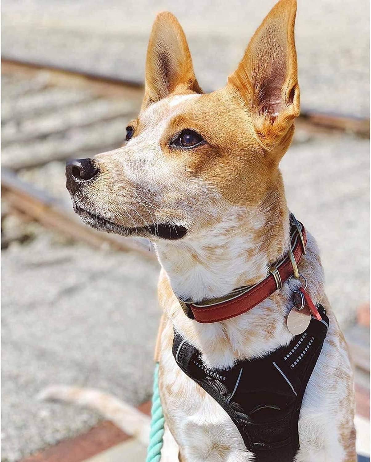 View 9