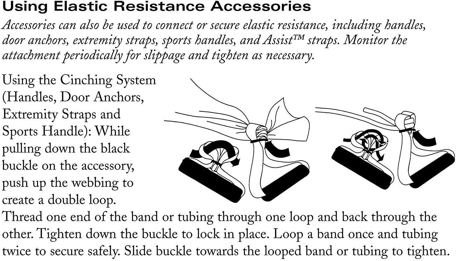 TheraBand Resistance Tubes, Professional Latex Elastic Tubing, Upper & Lower Body, Core Exercise, Physical Therapy, Lower Pilates, at-Home Workouts, Rehab : Industrial & Scientific