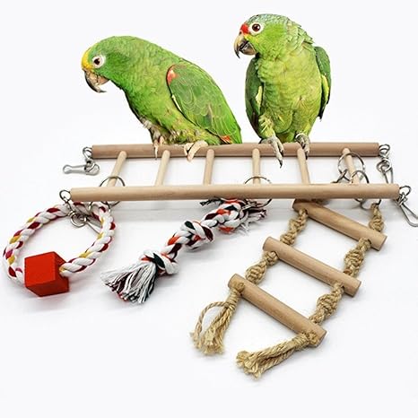 Conures Aras Oiseaux Pinsons Balançoire En Bois Pour Oiseau