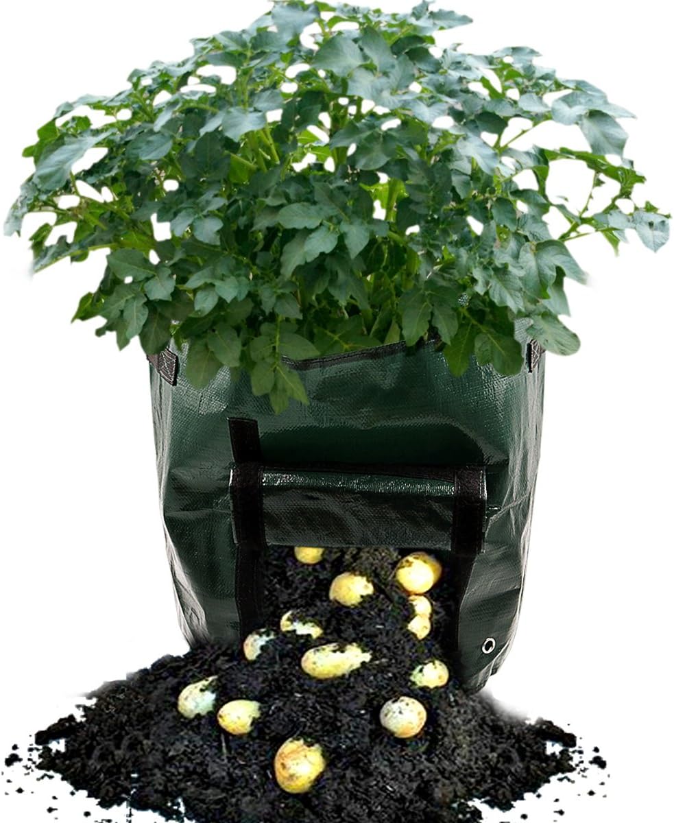 Plant Bag Planting Grow Bags Potato Growing Bags Garden 7 Gallon Grow Bags Potato Vegetable Grow Planter Bag with Handles 2-pack By KPAO (Green)