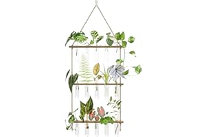 Bamworld Propagation Station with Wooden Stand, 5 Glass Test Tubes Wall Plant Holder for Plant Wall, 3 Tiered Propagation Ter