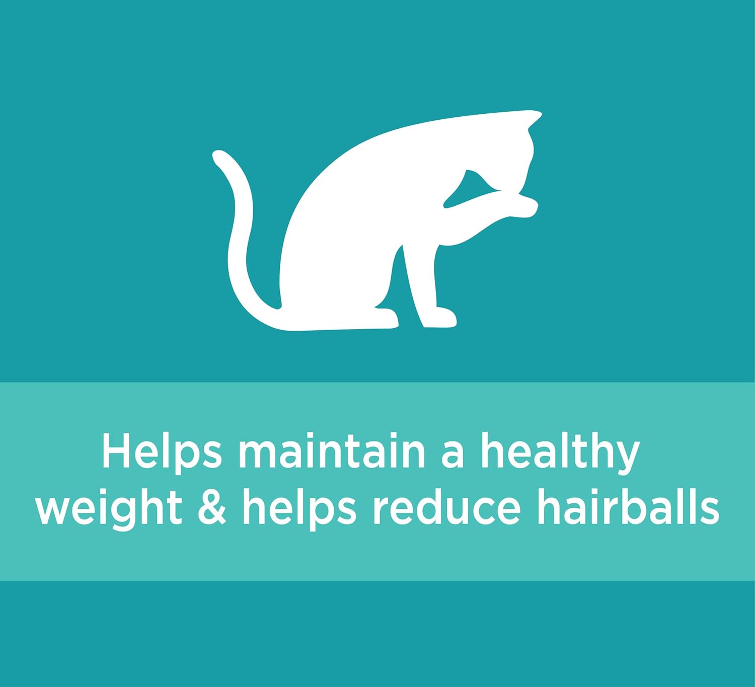IAMS PROACTIVE HEALTH Adult Indoor Weight Control & Hairball Control Dry Cat Food with Chicken, Turkey, and Garden Greens, 7 lb. Bag : Pet Supplies