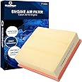 FRAM CA10262 Extra Guard Engine Air Filter, 20,000 Km Air Filter