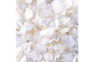 GIFUGI 4500Pcs Ivory White Dried Hydrangea Flower Petals - 100% Natural Real Off-White Flower Petals for Wedding Confetti, Flower Girl Basket, Shower Party, DIY Crafts (3.17oz)
