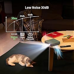 WEMAX Laser Projector, Netflix Officially