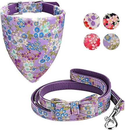 fancy dog collars for large dogs