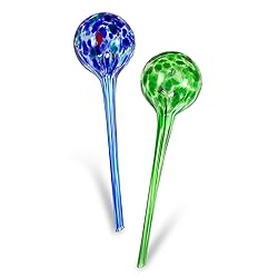 Blazin Self Watering Bulbs for Plants | Automatic